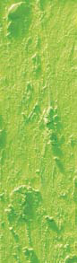Grün,